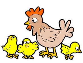 It's a tough job laying eggs every day and we need the best Chicken Supplies