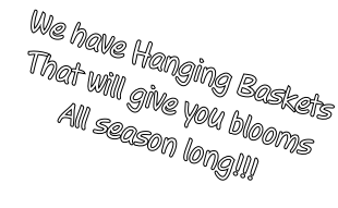 We have Hanging Baskets That will give you blooms All season long!!!